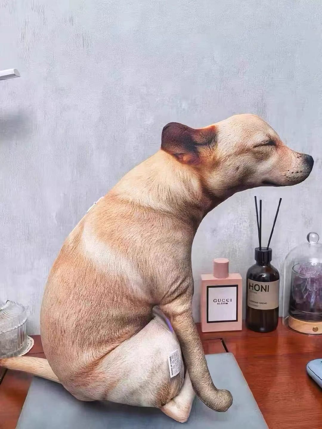 Customer photo review of Real Dog