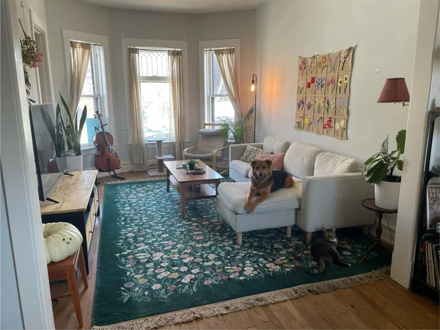 Customer photo review of Karastan Garden of Eden Rug 8.8 x 11.8, Green Savonnerie 509/1733, Original Discontinued Karastan Rug, Floral Panel Wool Rug, Vintage Carpet