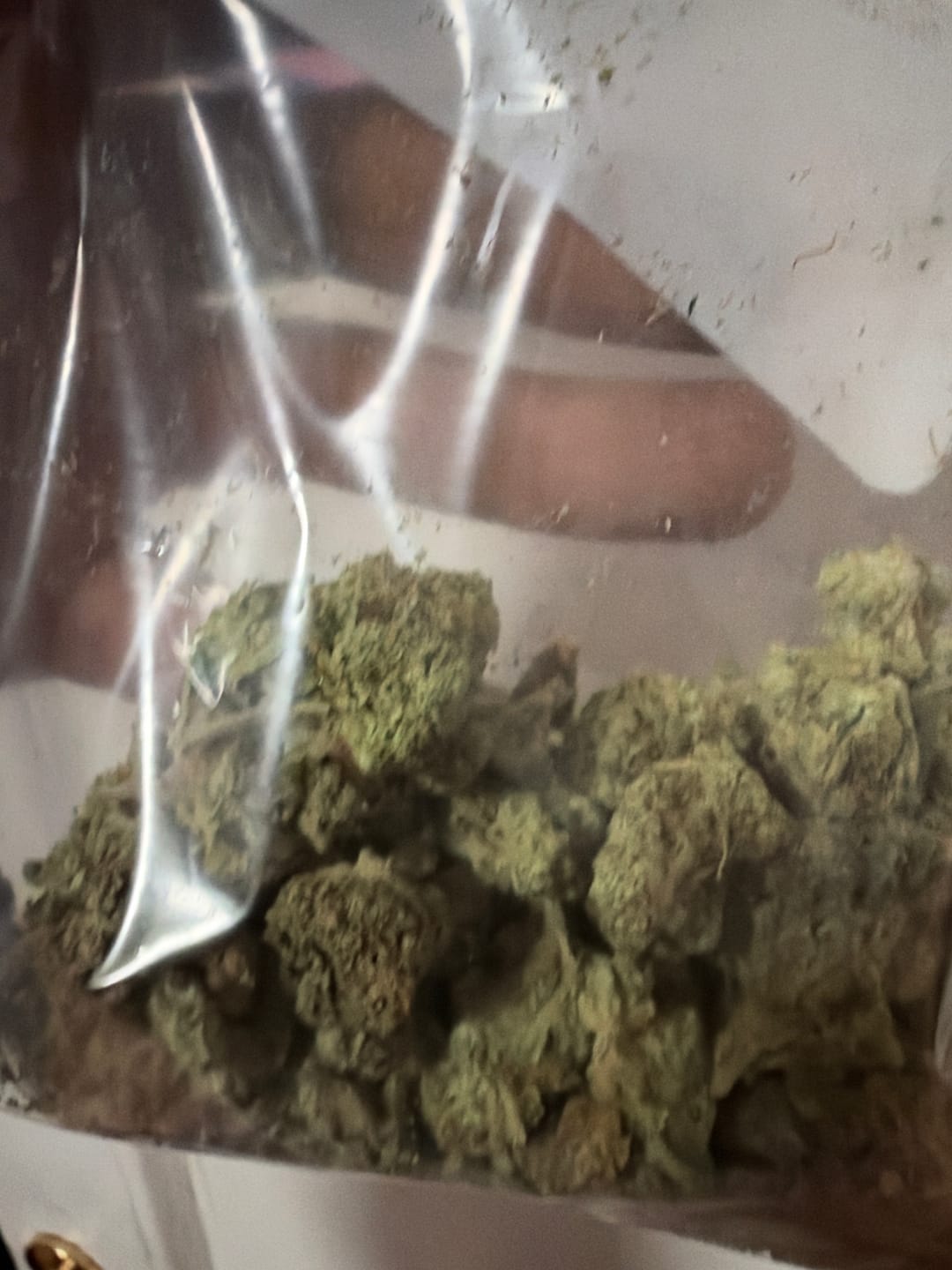 Customer photo review of White Gushers THCA Flower