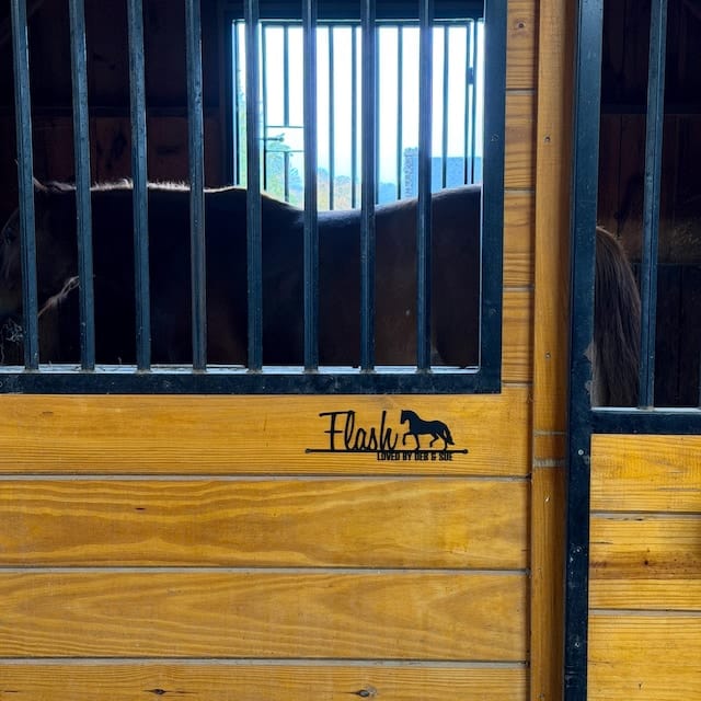 Customer photo review of Custom Horse Stall Name Sign – Personalized Metal Art