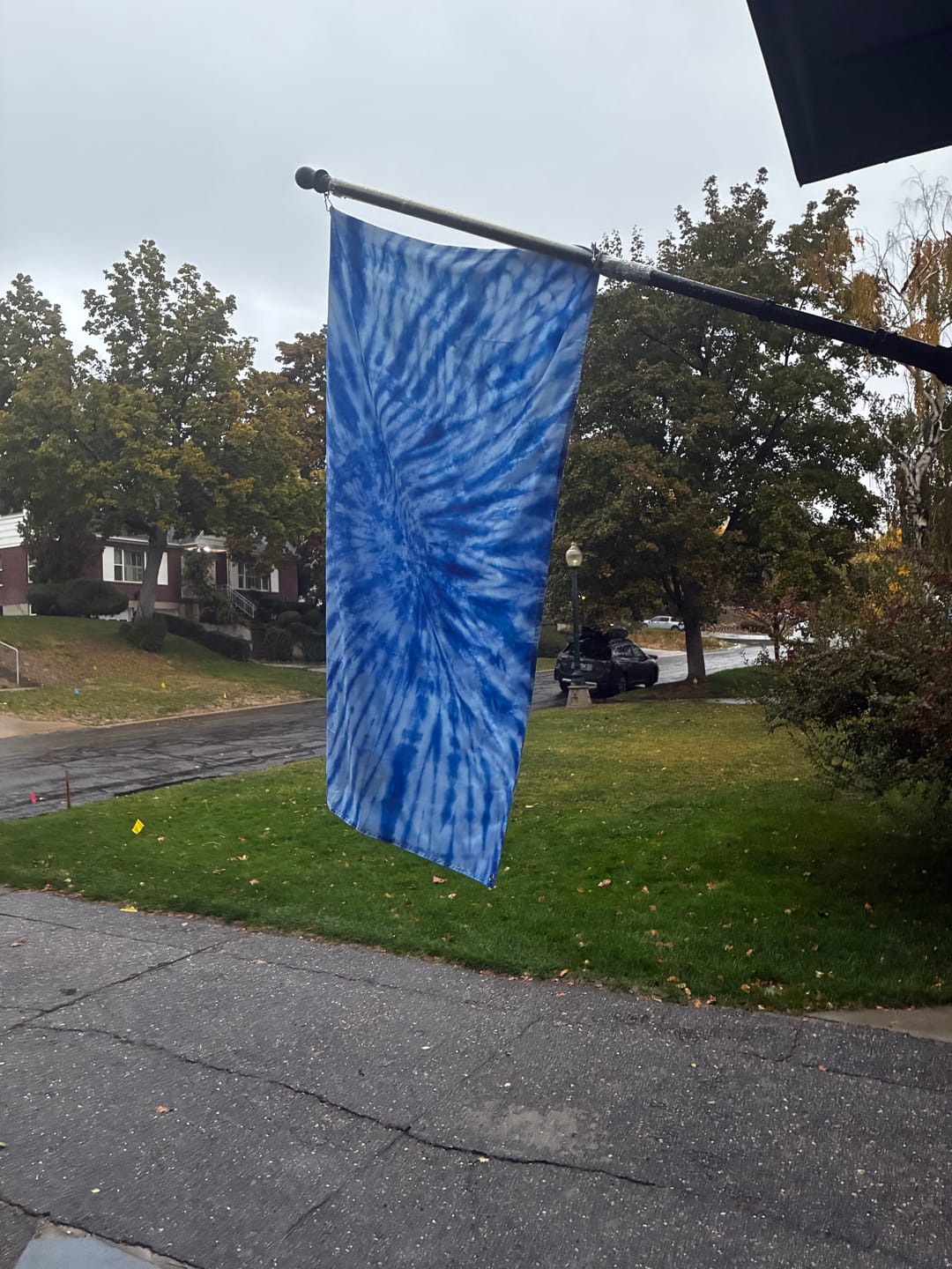 Customer photo review of Blue Tie Dye Print Polyester Flag