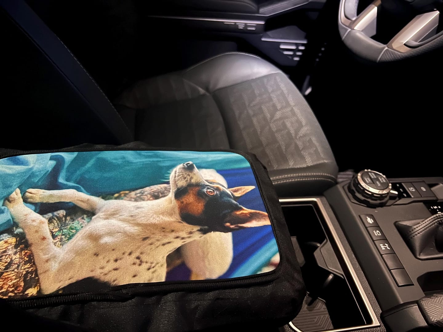 Customer photo review of Custom Photo Car Console Cover