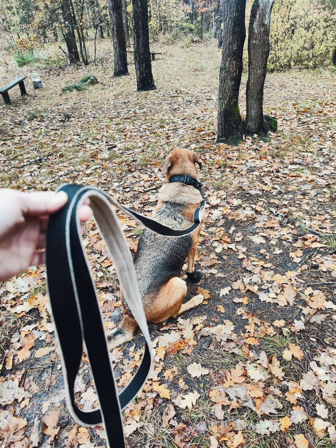Customer photo review of Smycz z dodatkową rączką - Guard Leash Black Edition Beżowa