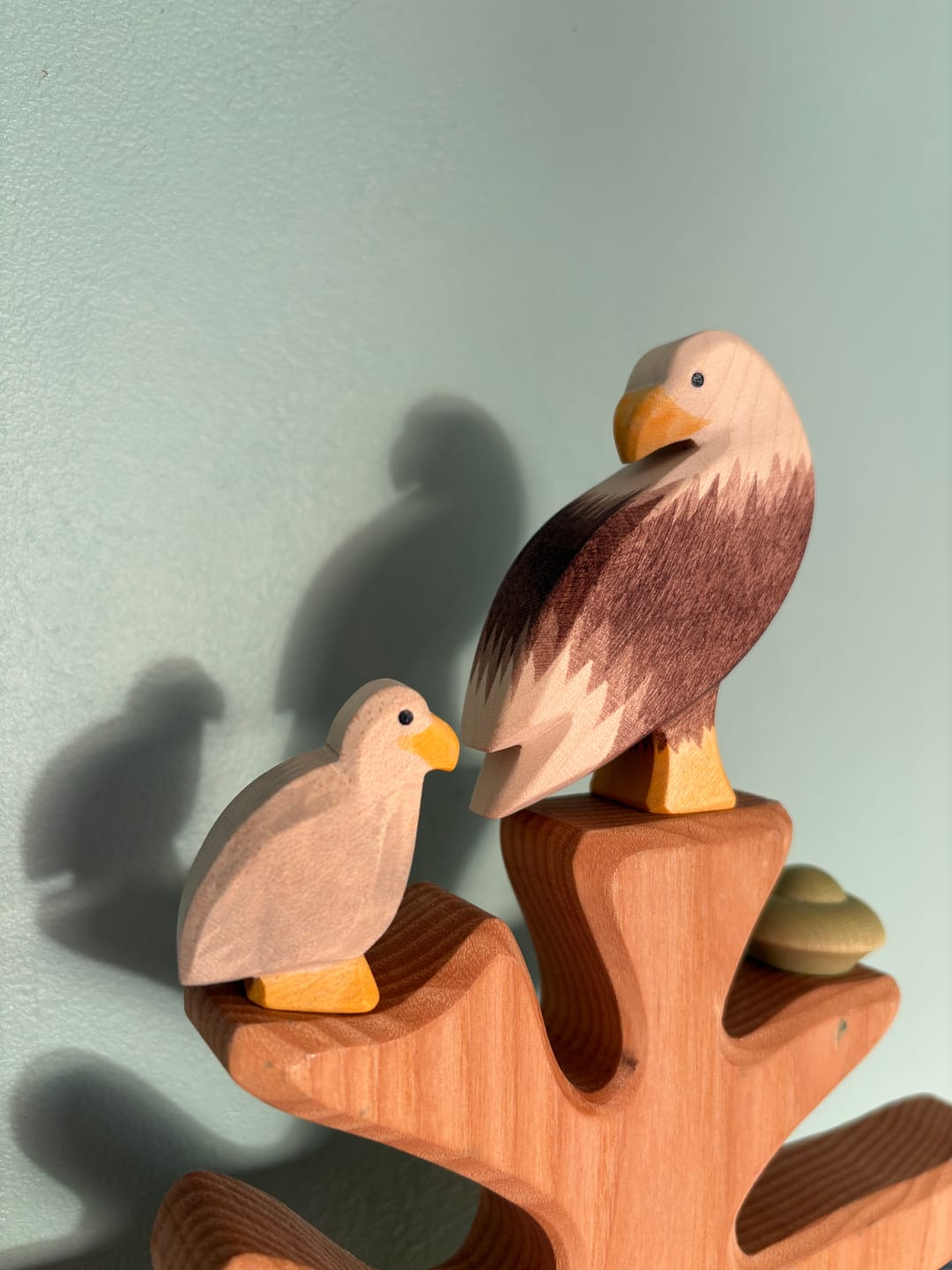 Customer photo review of Bald eagle small - trefigur