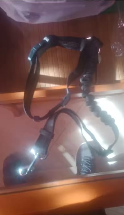 Customer photo review of Cinturón de seguridad para perros