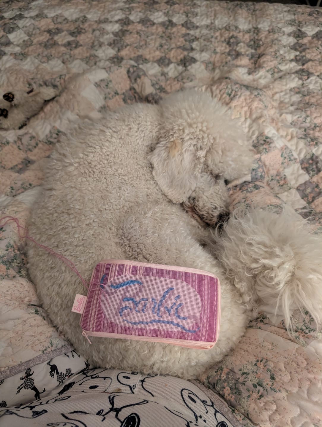 Customer photo review of THE WHOLE BALLET - Needlepoint Bundle