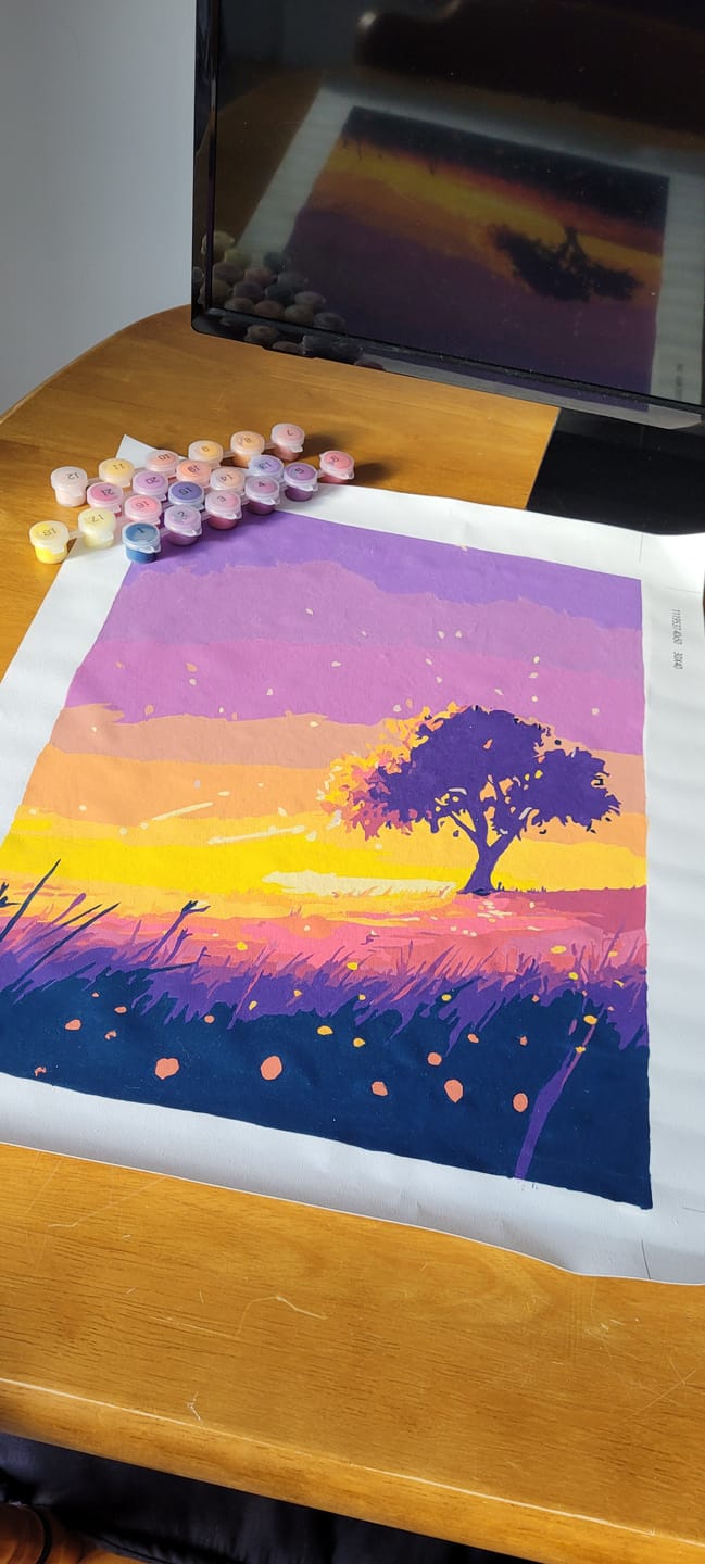 Customer photo review of Surprise Painting | Paint by Numbers