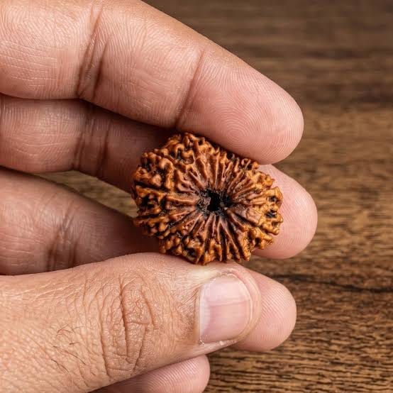 Customer photo review of Nepal Origin 14 Mukhi Rudraksha – 100% Natural & Certified