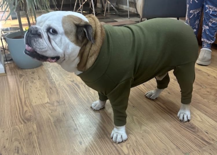 Customer photo review of Plain Anti Pill Polar Fleece Fabric