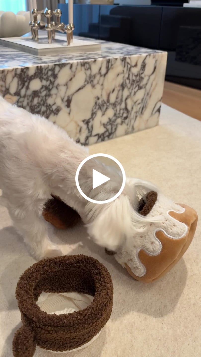 Customer video review of Cinnamon Roll Toy