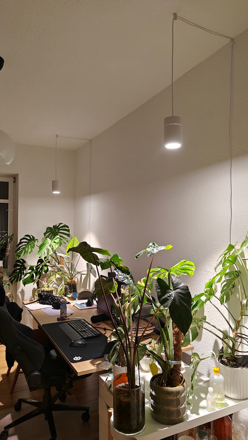 Customer photo review of Claria LED-Pendel­lampe für Pflanzen