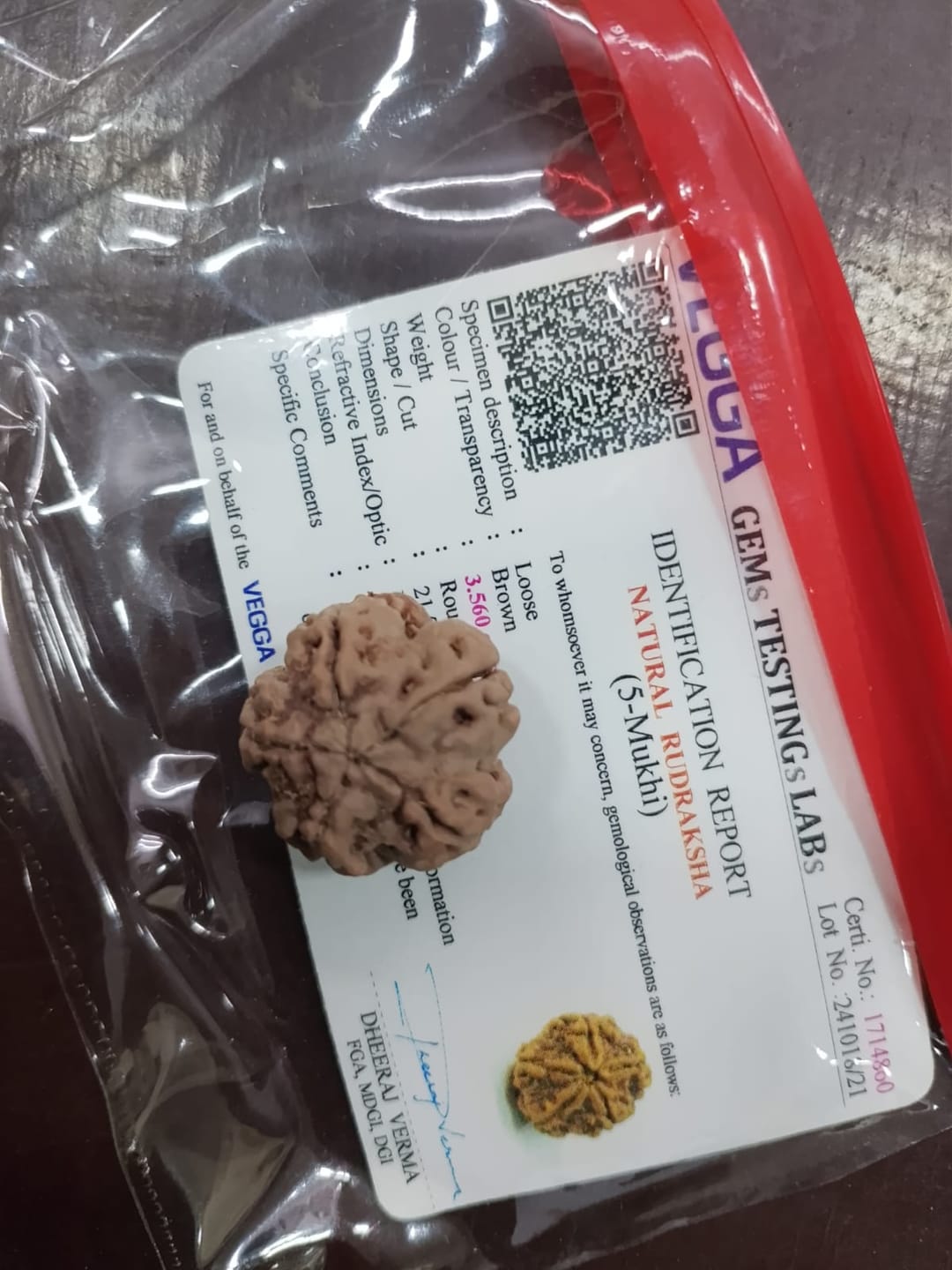 Customer photo review of Nepal Origin 5 Mukhi Rudraksha – 100% Natural & Certified