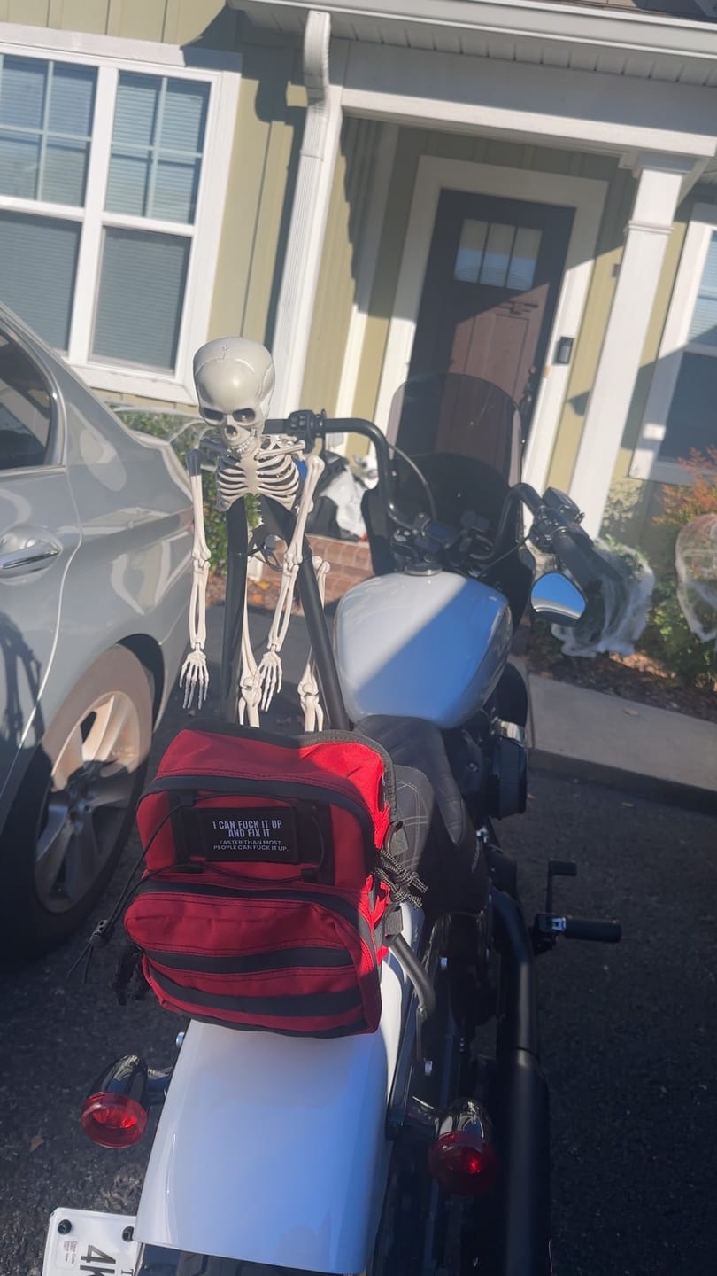 Customer photo review of Iron Born Blade 25" Sissy Bar for Harley Softail Street Bob Matte Black