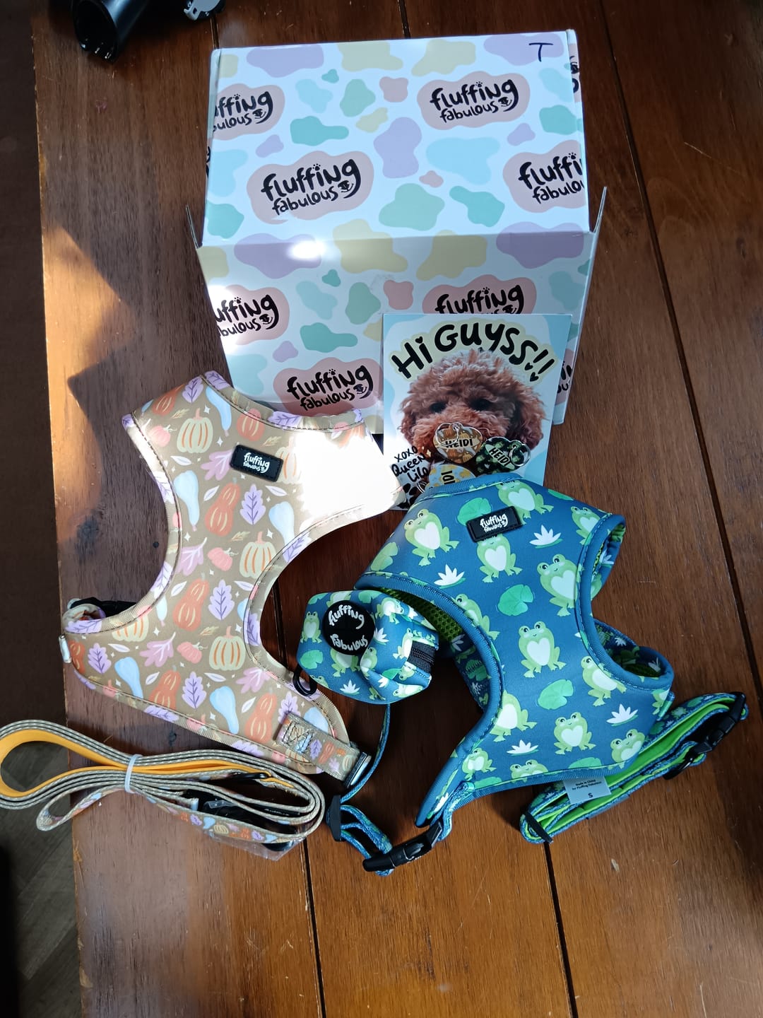 Customer photo review of Adjustable Dog Harness - Frogging Fabulous