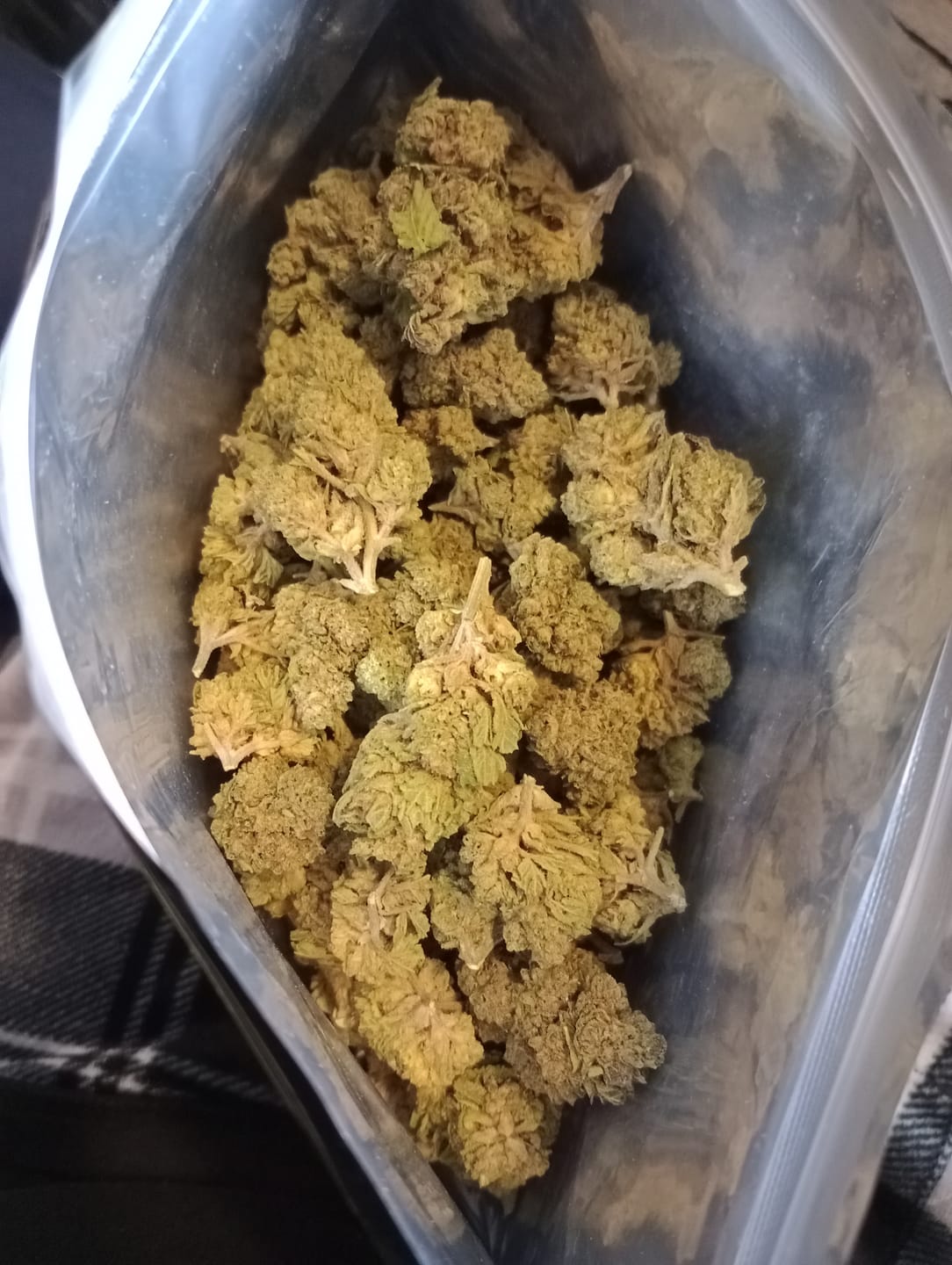 Customer photo review of Light Assist THCA Smalls
