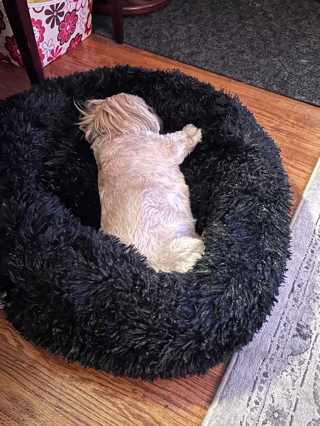 Customer photo review of Brooklyn® Deep Sleep Pet Bed
