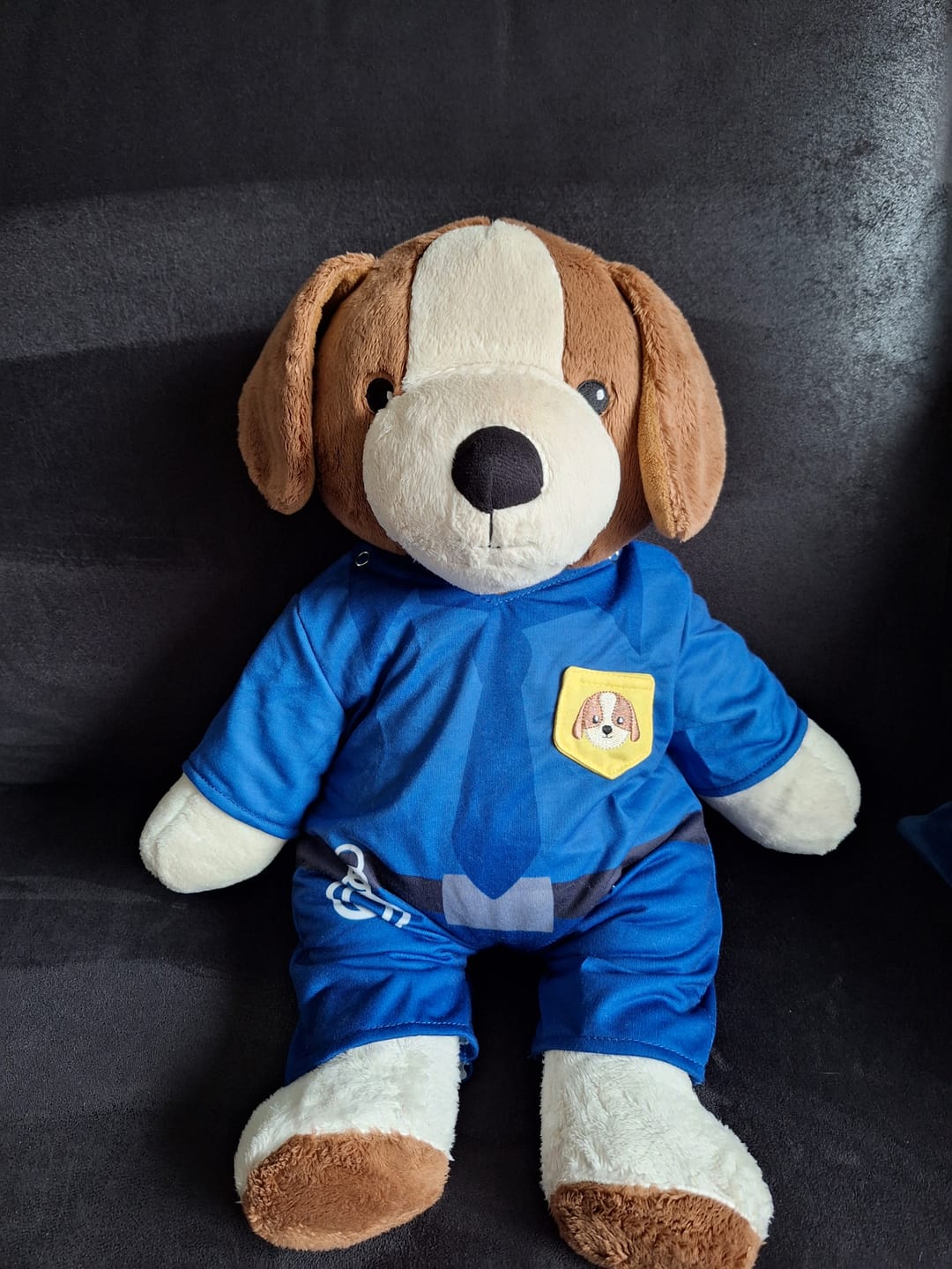 Customer photo review of Hond Politie Kleding Lotgenootje