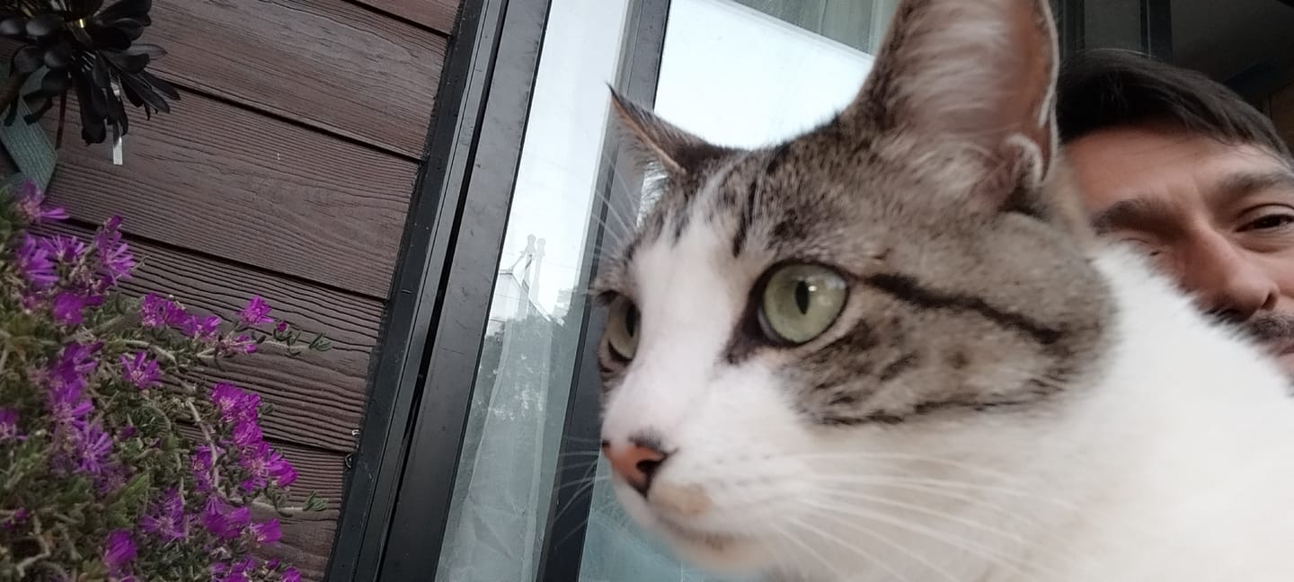 Customer photo review of N&D Prime Feline Adultos Pollo y Granada 7,5 kg