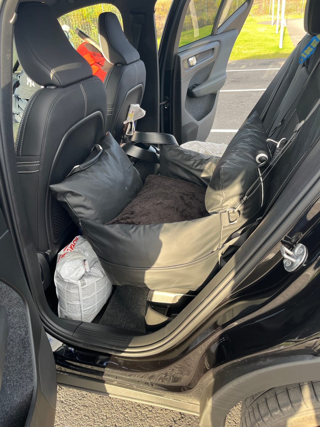 Customer photo review of Dog Dock V2 New & Improved ISO Fix