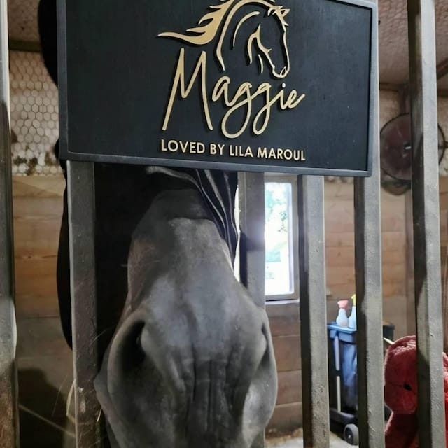 Customer photo review of The Signature Stall Nameplate – Custom Personalized Horse Sign