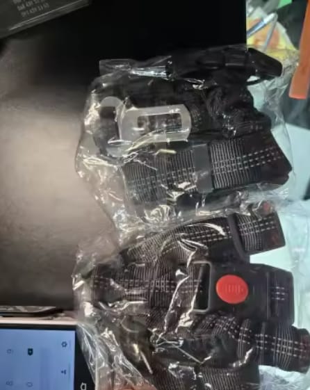 Customer photo review of Cinturón de seguridad para perros