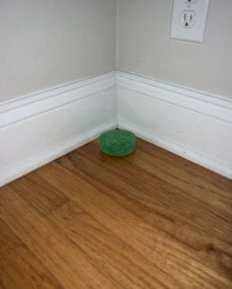 Customer photo review of PestBlock Pods™ — Natural Pest Repellent