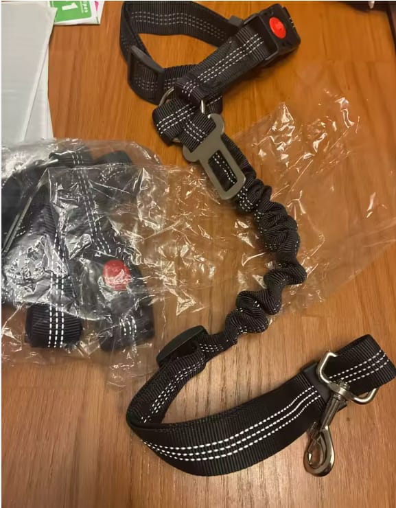 Customer photo review of Cinturón de seguridad para perros