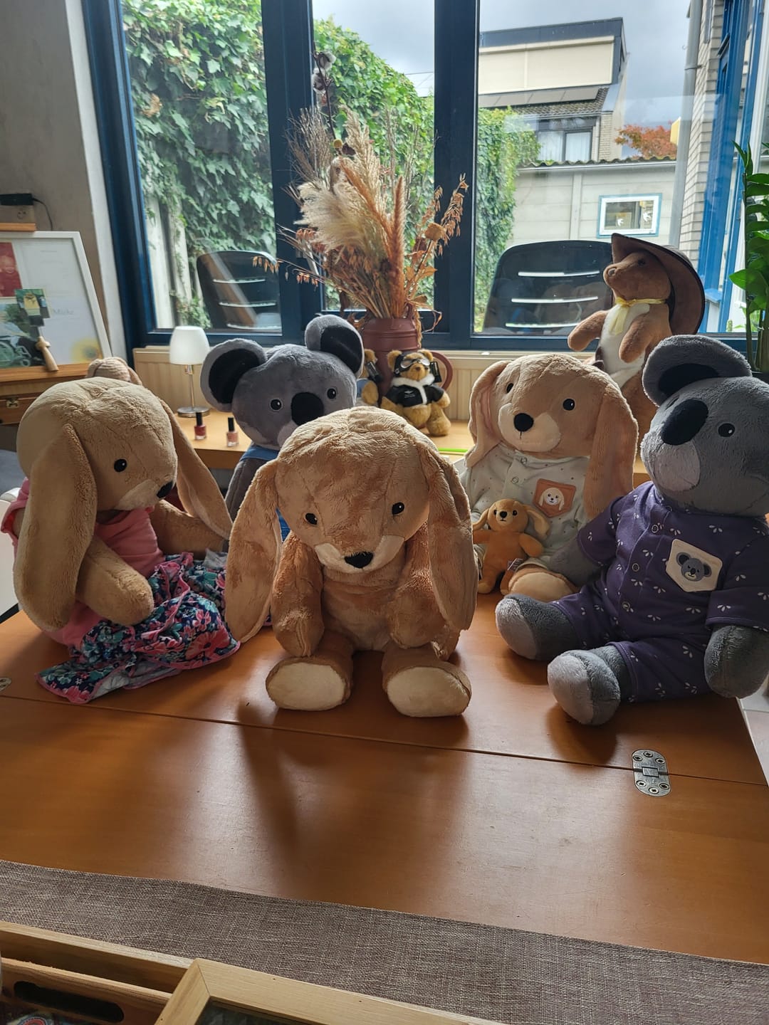 Customer photo review of Lotgenootje Konijn 2kg