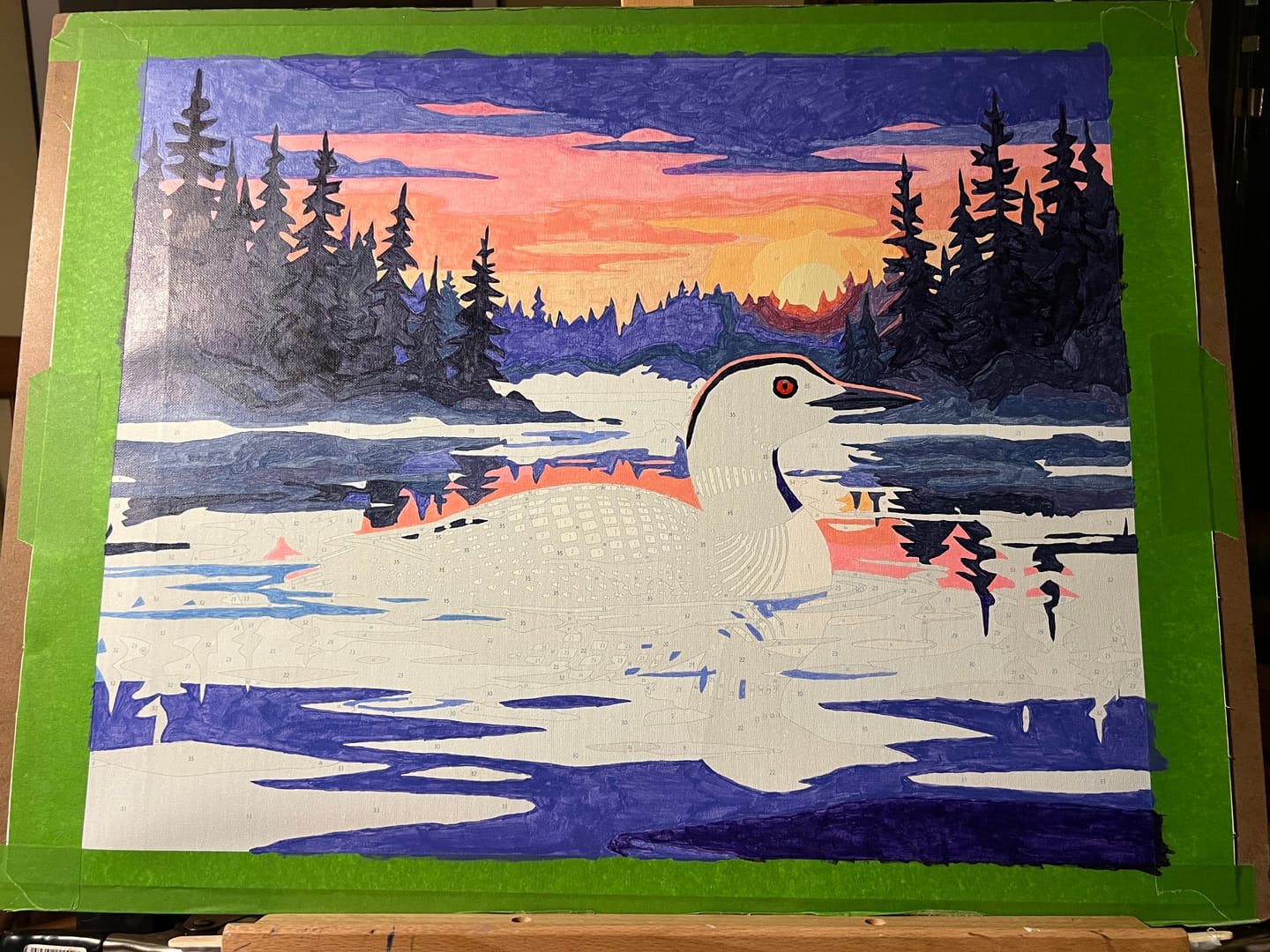 Customer photo review of Loon at Sunset