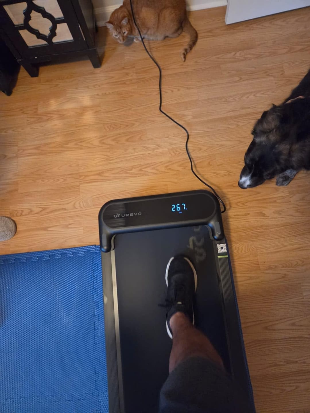 Customer photo review of UREVO SpaceWalk E1L Pro Smart Walking Pad