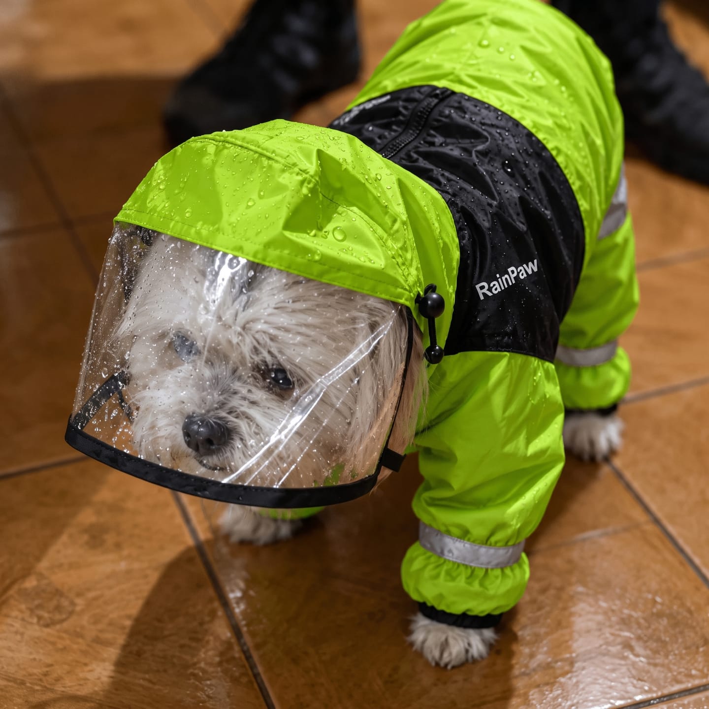 Customer photo review of Imperméable à 4 Pattes : Votre Chien au Sec et Bien Visible