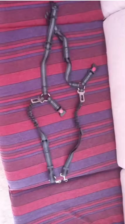 Customer photo review of Cinturón de seguridad para perros
