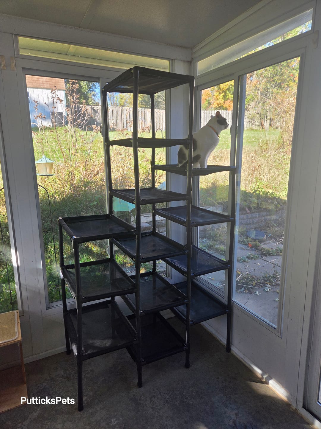 Customer photo review of Durable Cat Tower - SkyRise