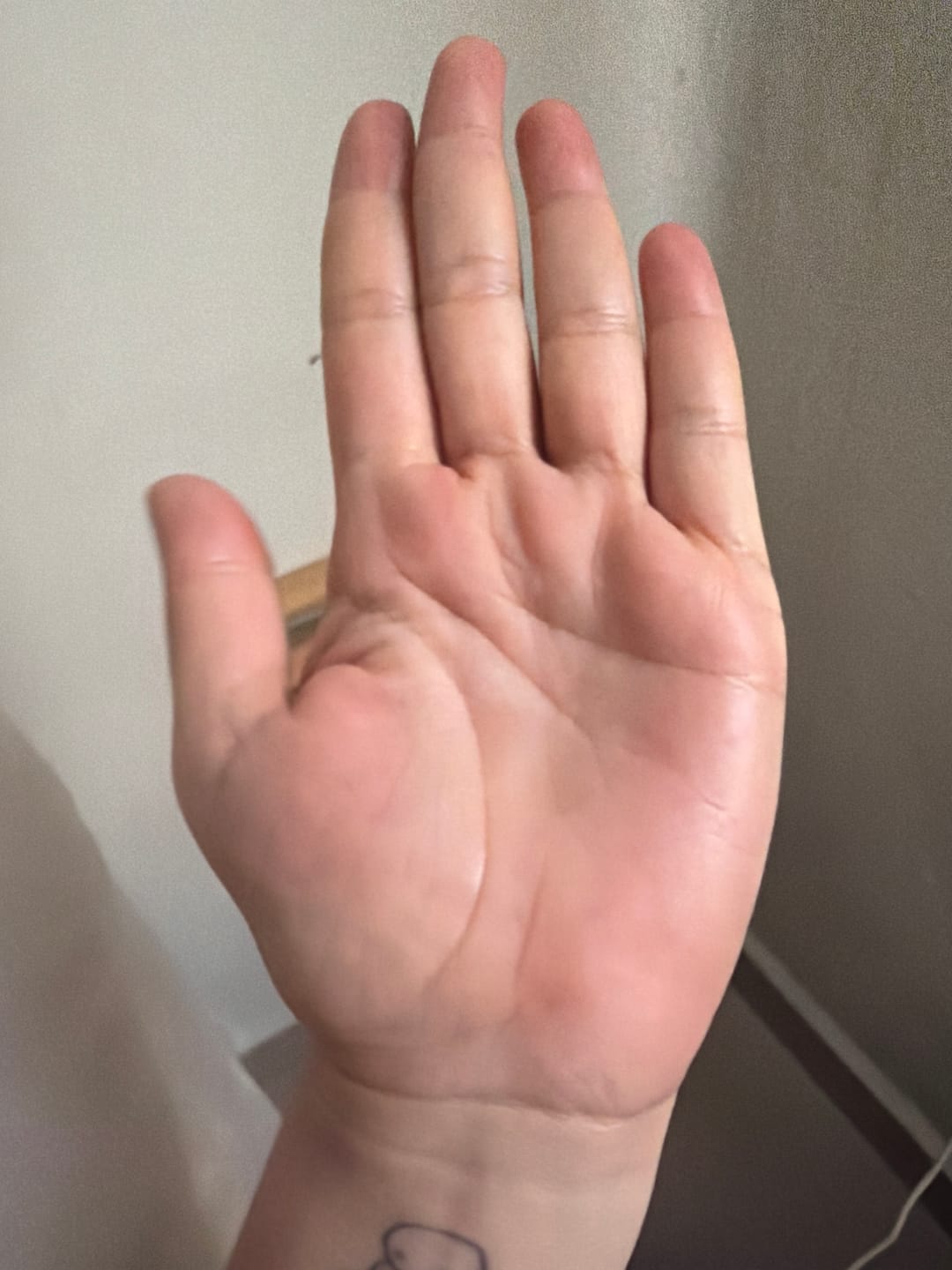 Customer photo review of ONAIL Plug-in Nail Dust Collector Tornado No.1
