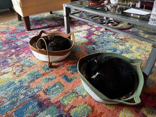 Customer's two cats sleeping inside brown and green rope Instinct Baskets on a colorful rug.