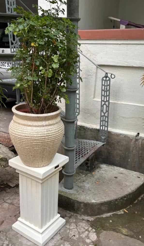 Customer photo review of Coventry Vintage FRP Pedestal (Ivory)