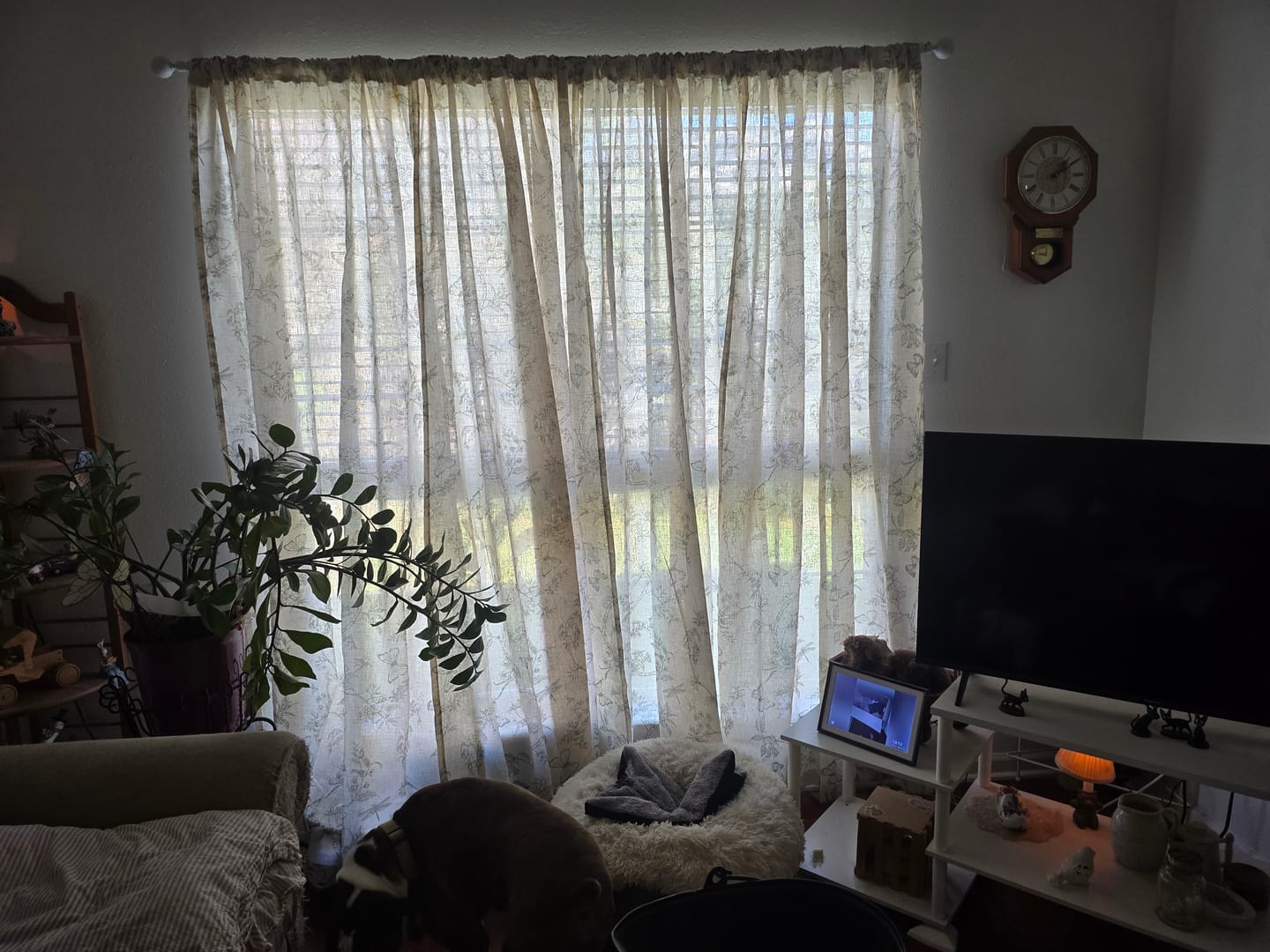 Customer photo review of Modern Toile Floral & Insect Linen Curtains (2 Panels)