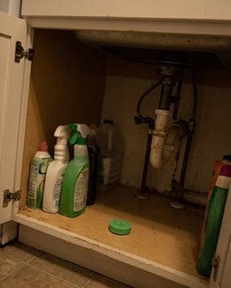 Customer photo review of PestBlock Pods™ — Natural Pest Repellent