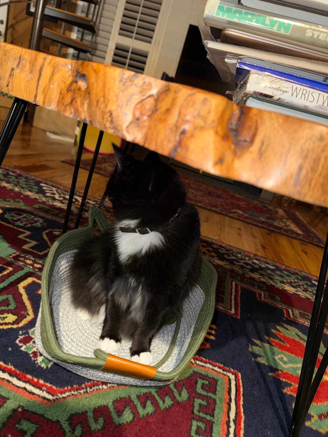 Customer photo review of Instinct Basket | Meet the first research-backed natural scratcher for indoor cats