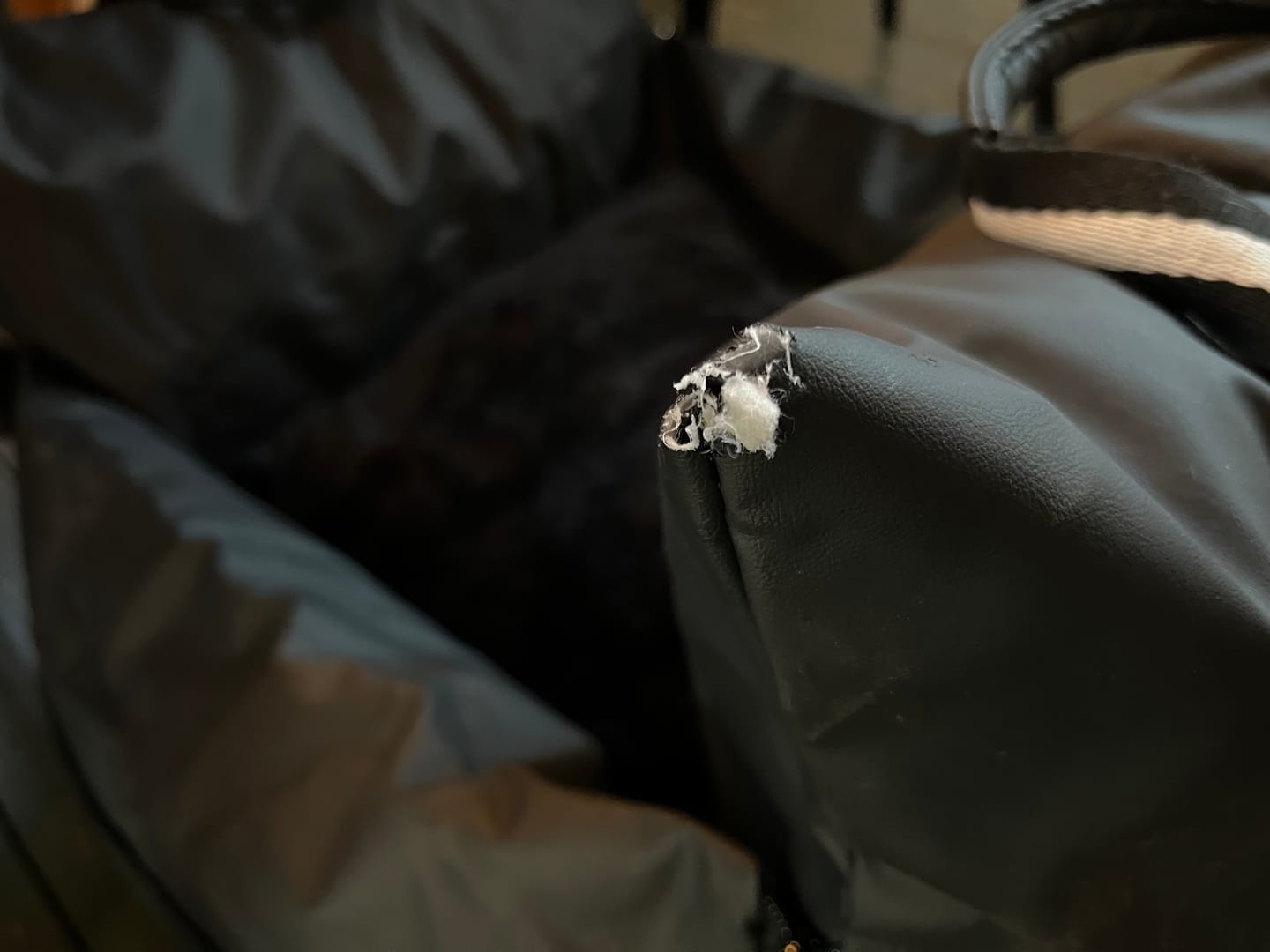 Customer photo review of Dog Dock V2 New & Improved ISO Fix