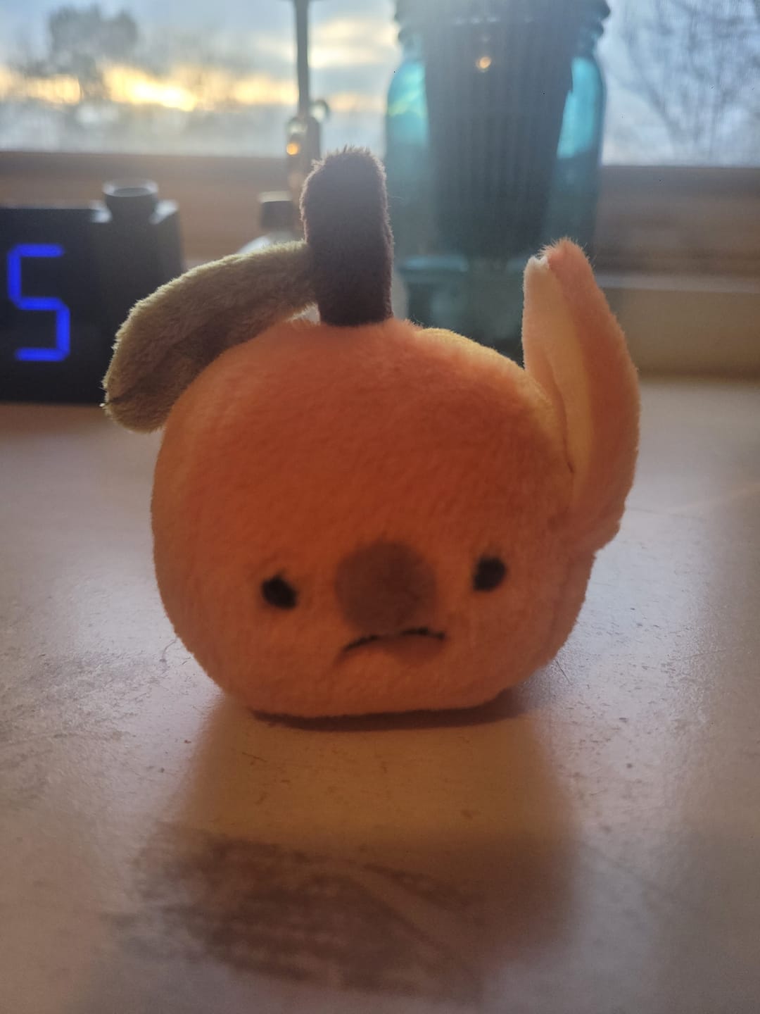 Customer photo review of Forgotten Half-Peeled Orange