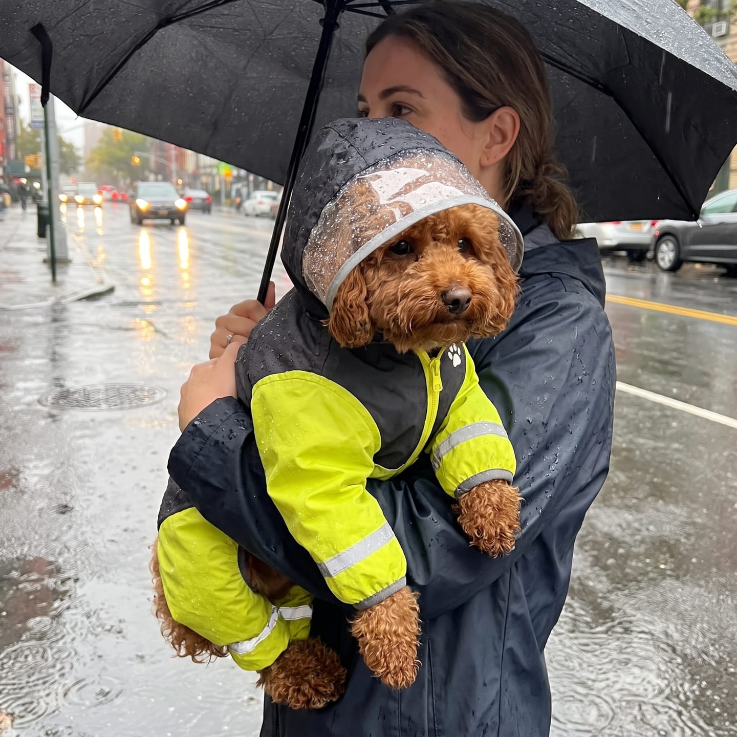 Customer photo review of Imperméable à 4 Pattes : Votre Chien au Sec et Bien Visible