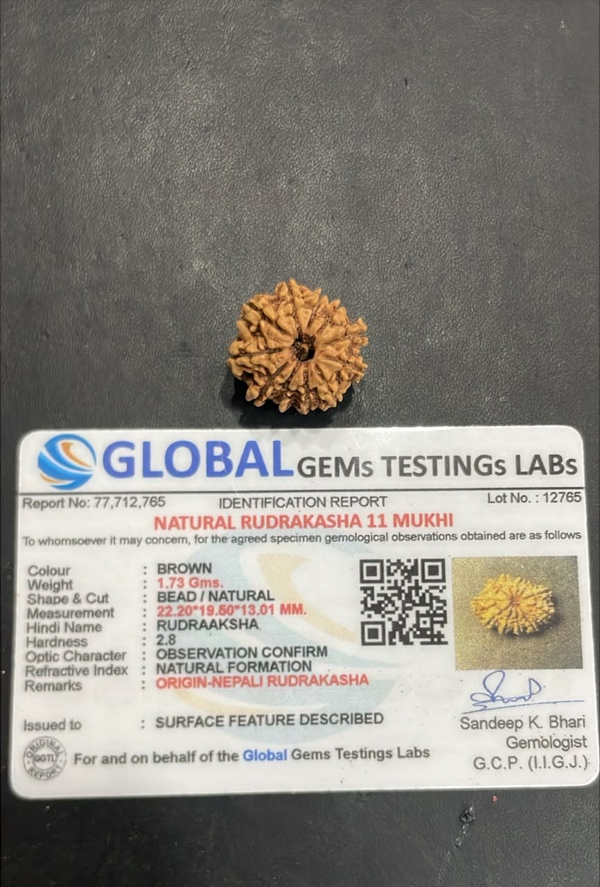Customer photo review of 11 Mukhi Rudraksha – Nepal Origin, Natural & Certified