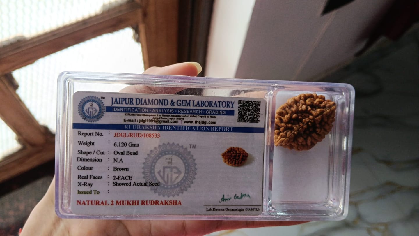 Customer photo review of South India Origin 2 Mukhi Rudraksha – 100% Natural & Certified