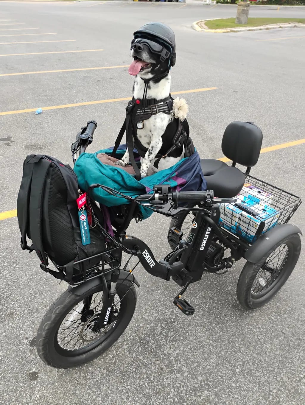 Customer photo review of Eskute® T300 Folding Electric Trike