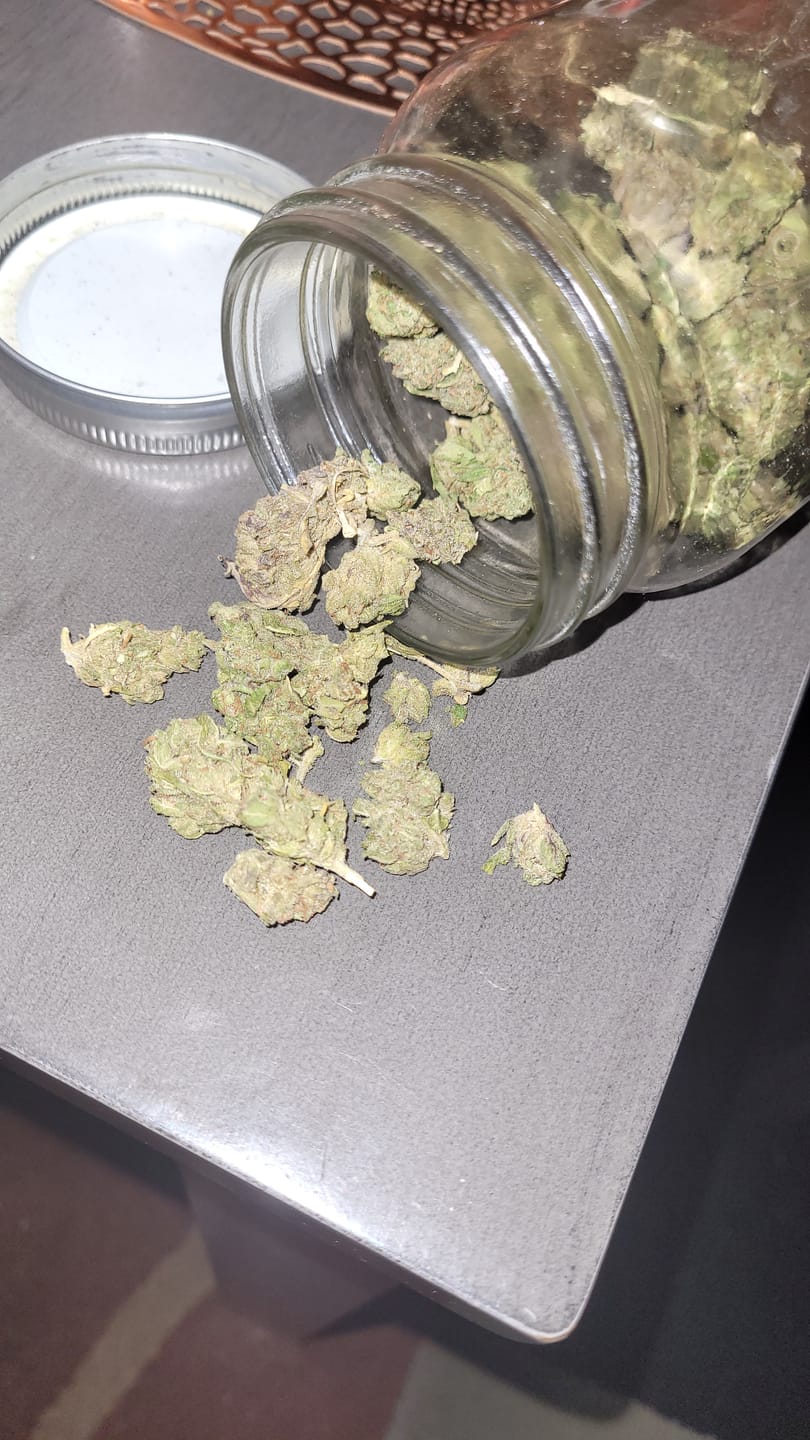 Customer photo review of THCA Queen