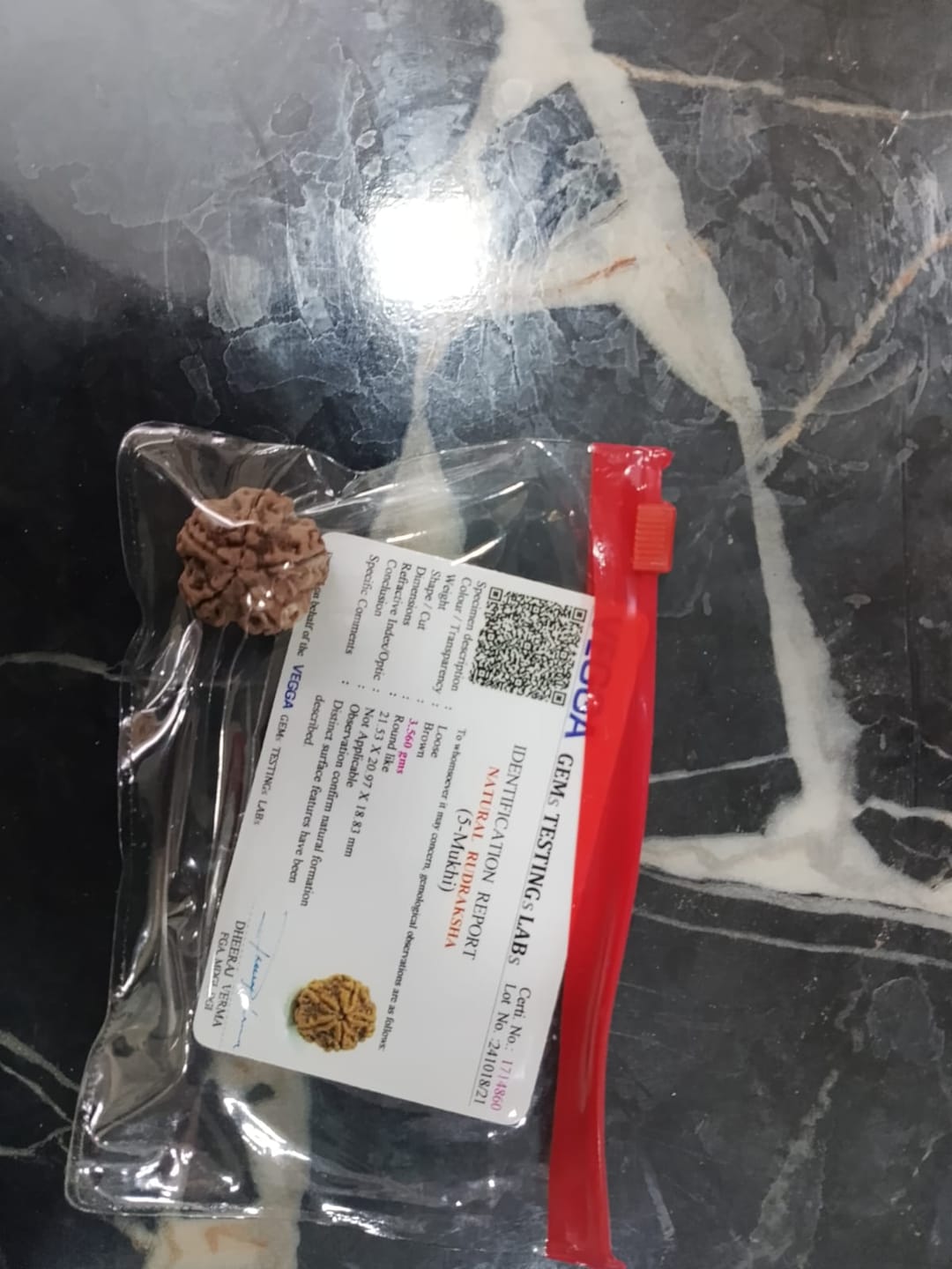 Customer photo review of Nepal Origin 5 Mukhi Rudraksha – 100% Natural & Certified