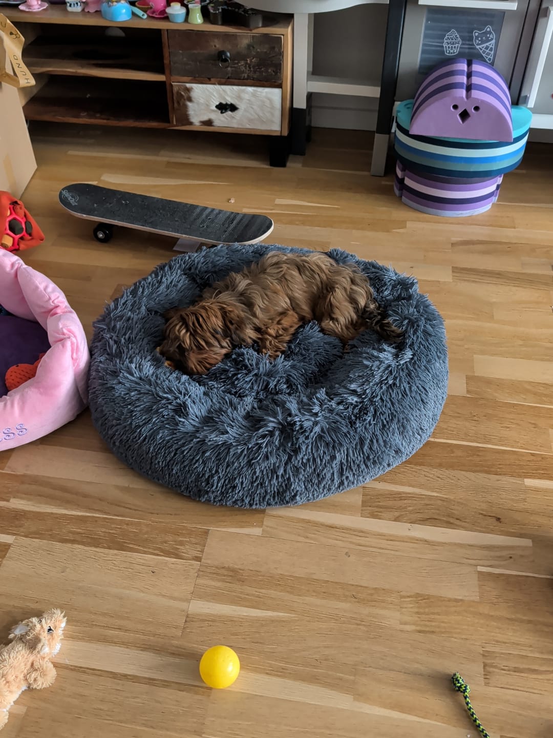 Customer photo review of Fluffy Donut Hundeseng, antracit grå