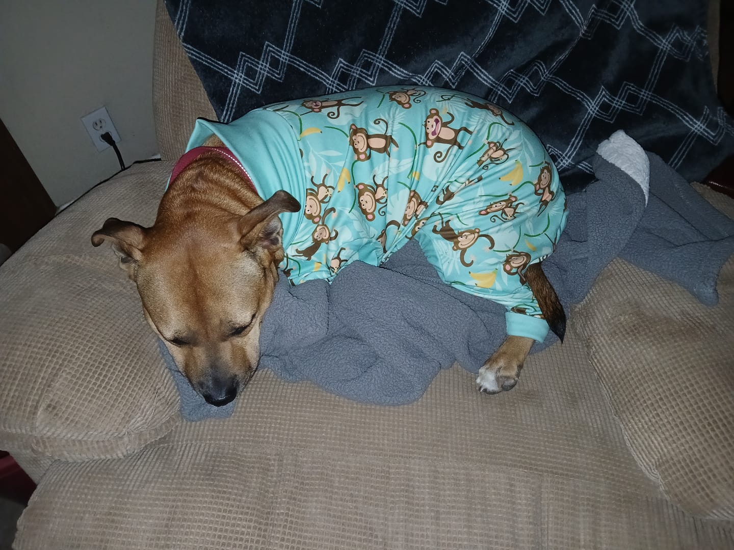Customer photo review of Dog Pajama - Monkey Business