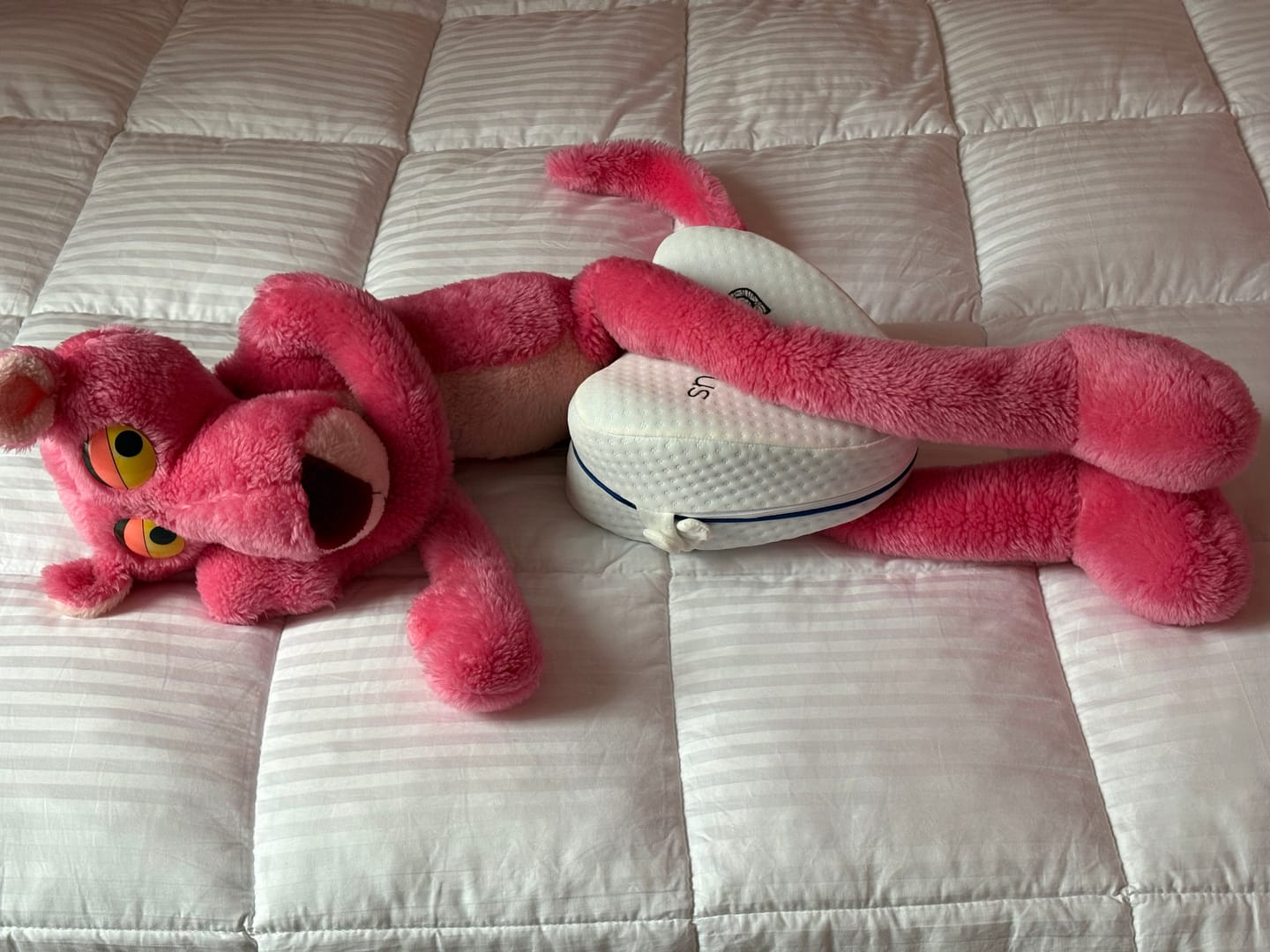 Customer photo review of Coussin Orthopédique Genoux Cellsius - Le secret d'un sommeil sans douleur